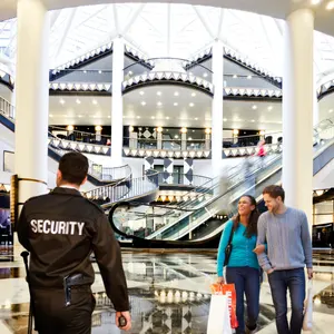 Rapid Emergency Response